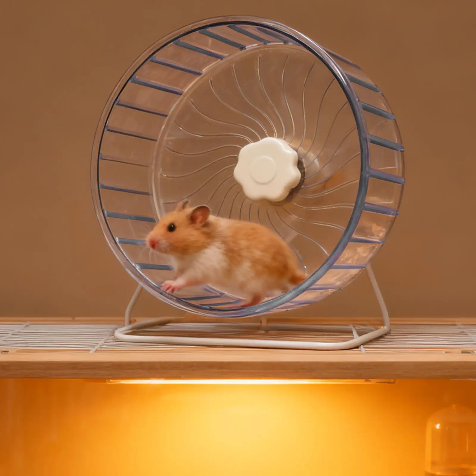 #34 Best Hamster Exercise Wheels to Buy In 2026