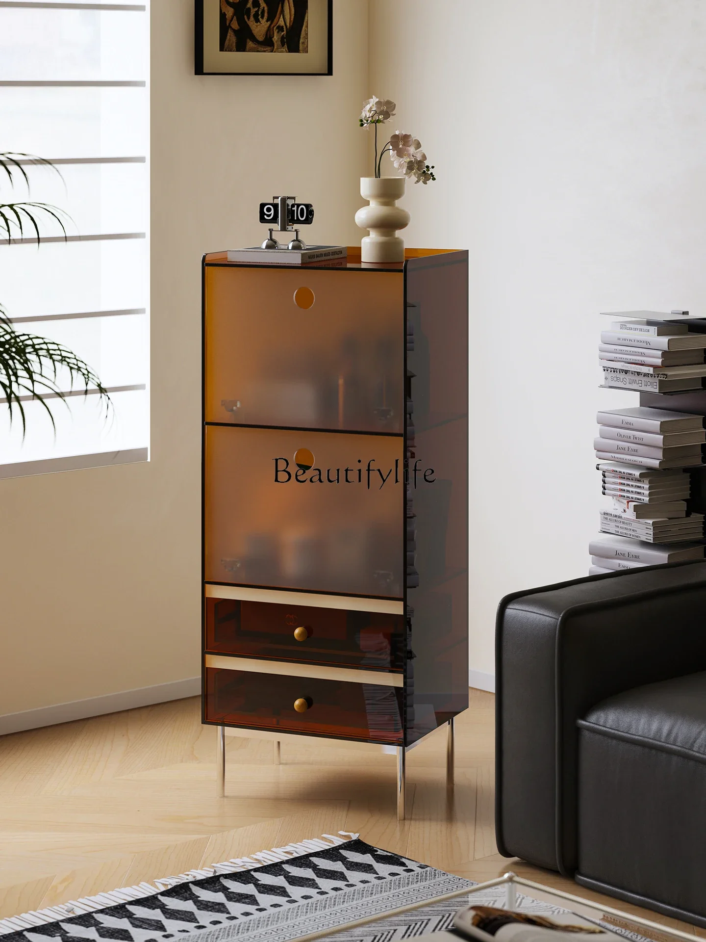 

FG17Acrylic Storage Cabinet Small Apartment Wall-Mounted Display Shelf Bookcase