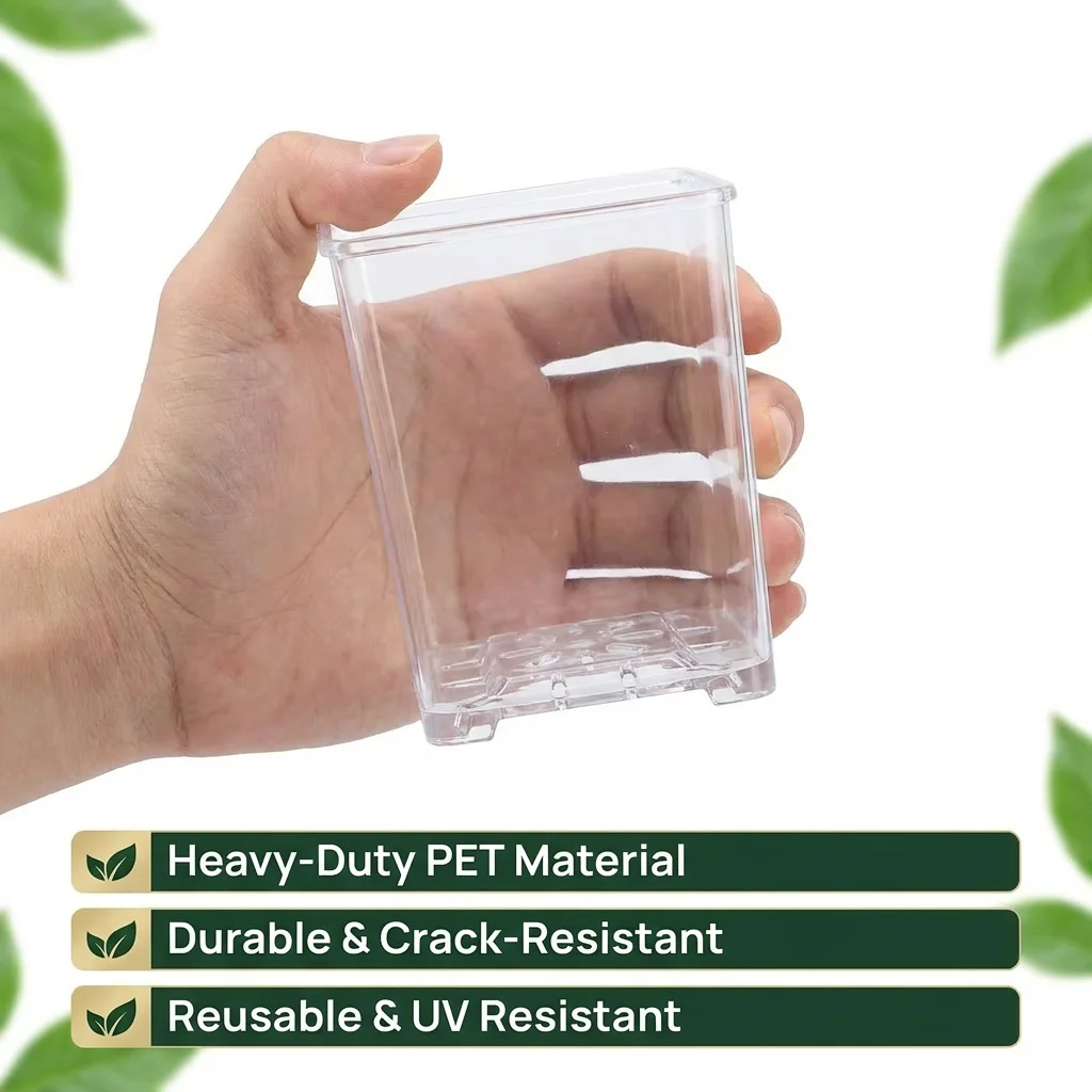 Pot carré transparent en acryl - Sphagnum Moss Dry avis et prix