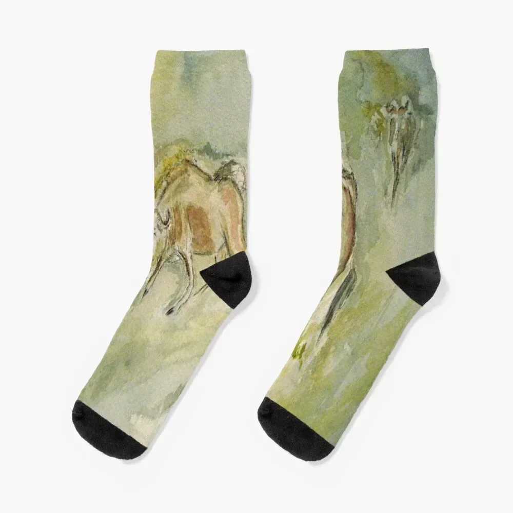 Gnus Socks compression crazy soccer anti-slip Men Socks Women's