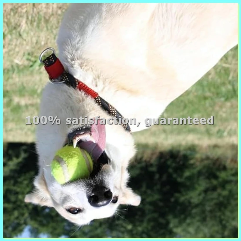 

Автоматическая теннисная пушка для собак, интерактивная игрушка для бросания теннисных мячей, мини-машина для метания, перезаряжаемая - AD23