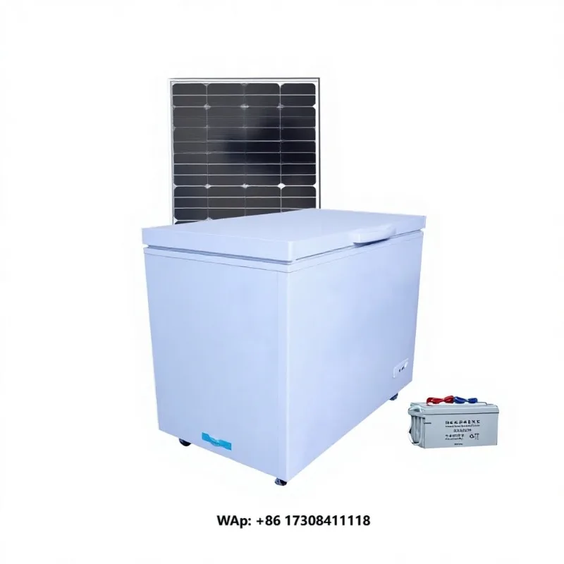 New Arrival 100L DC 12V All-in-One Solar Compressor Freezer Frost-Free Low Power Consumption for Outdoor Home Use Hotel/Car Use