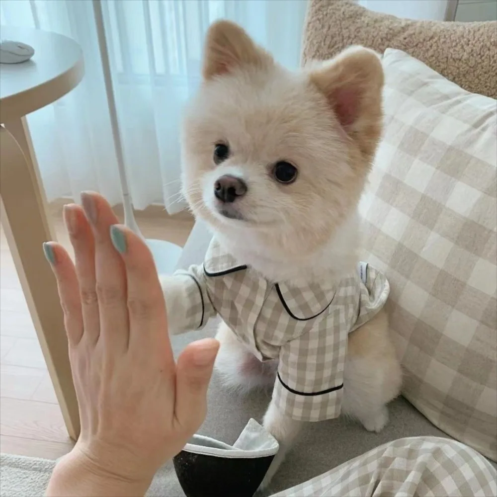 

Comfortable Ins Plaid Shirts Pet Clothing Fashion Elegant Dogs Pajamas Cute Costume Cat Dog Clothes Yorkshire Gift