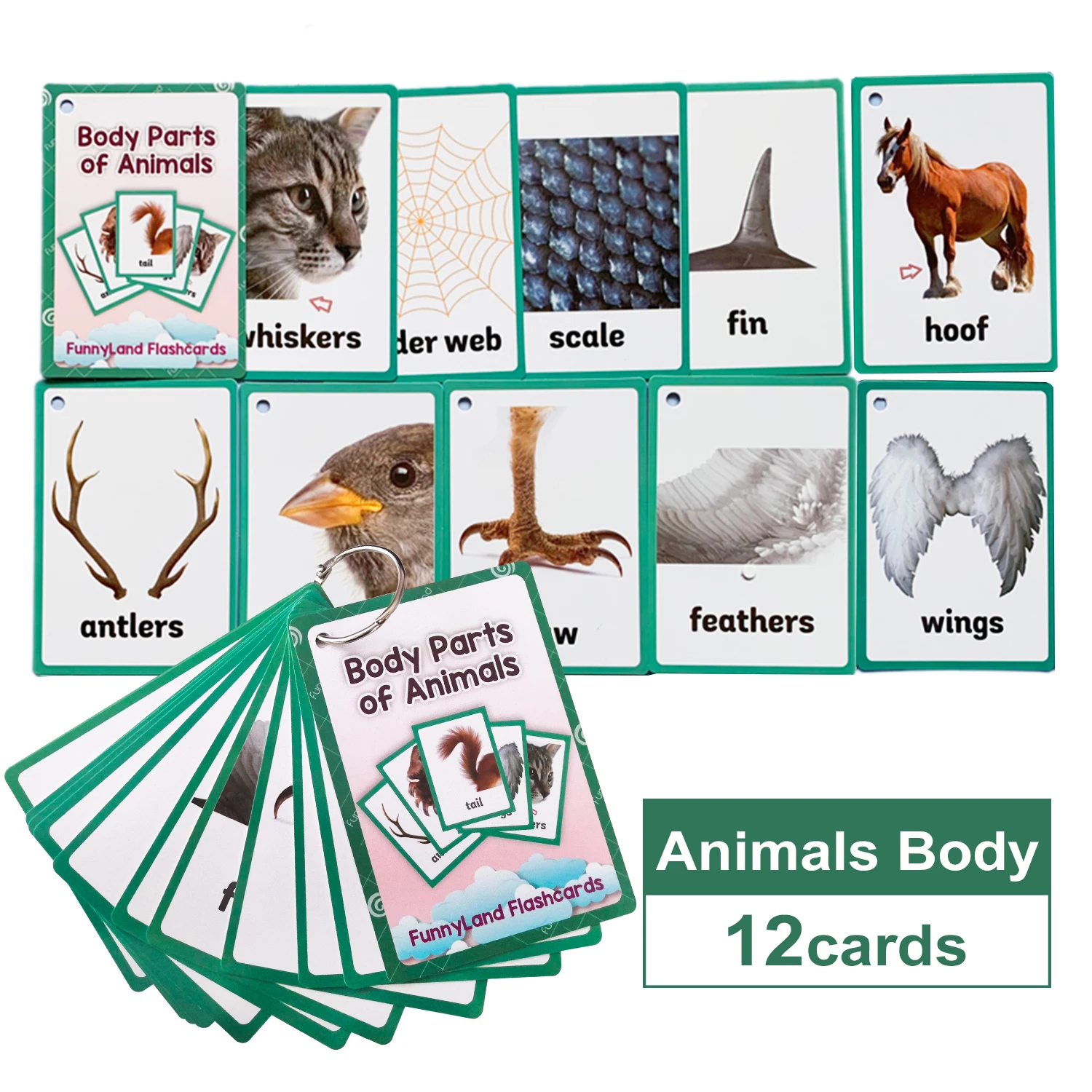 Tarjetas de aprendizaje de frutas y animales para niños, tarjetas con palabras en inglés, suministros para la escuela en casa, juguetes educativos