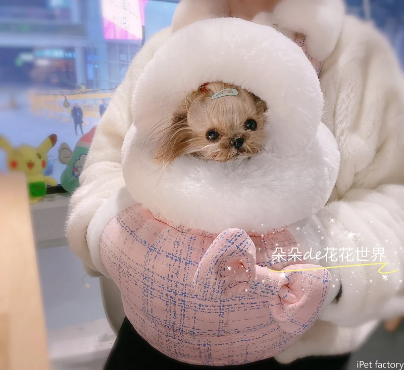 New Summer Pet Cat Dog Carriers Bag Teddy York Chihuahua Travel Backpack Portable Handbags Lace Basket For Small Accessories