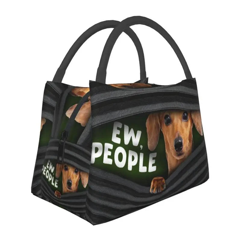 Funny Dachshund Dog Lunch Box Women Multifunction Cooler Thermal Food Insulated Lunch Bag Hospital Office Pinic Container