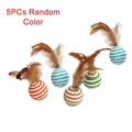 5pcs