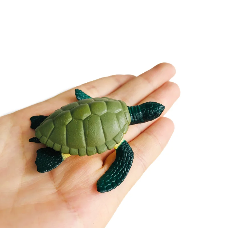 Montessori Life Cycle of Turtle Models and 3-Part Cards Biology Learning Resources Preschool Educational Equipment Teaching Aids