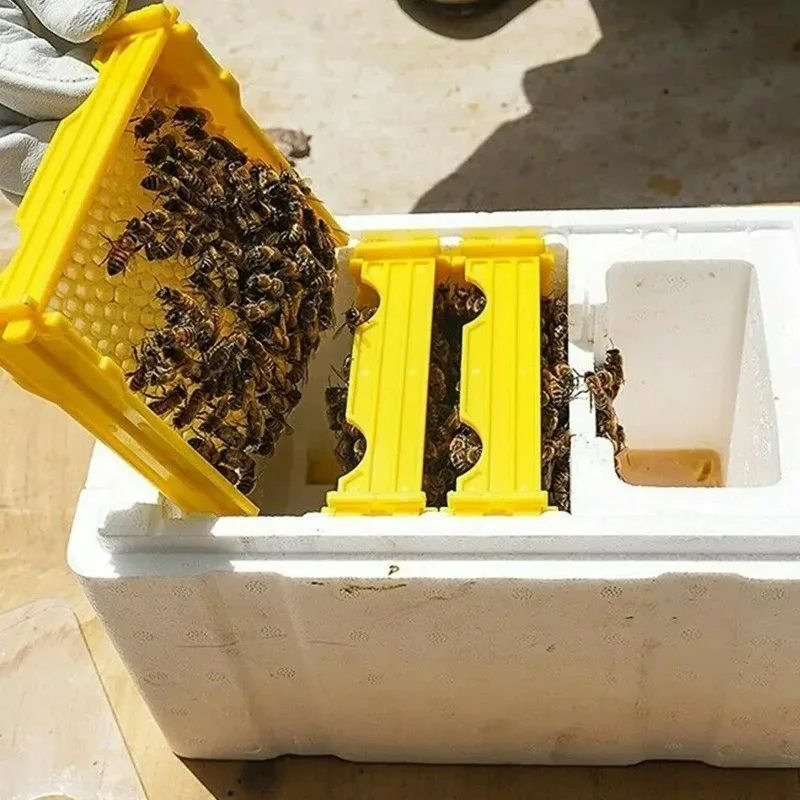 

Bee Hives Queen Bee Mating Box Foam Bee Hive Breeding Box Beekeeping Box Garden Bree Equipment Beekeeper