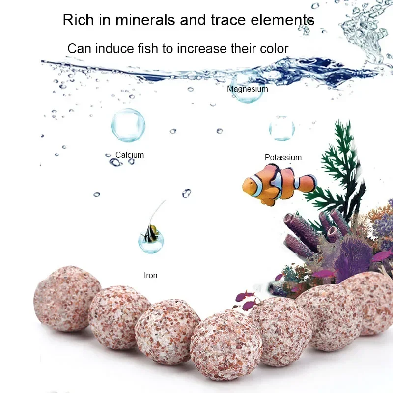 100/500G Hohl Biochemische Ball Filter Medien Nitrifizierende Bakterien Haus Aquarium Filter Zubehör Für Aquarium Wasser Reinigung – Detail 3