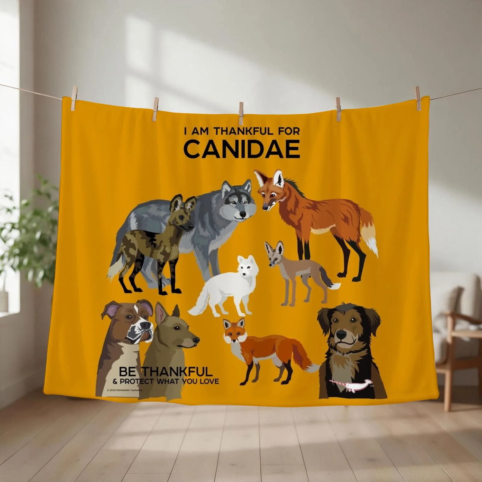 I Am Thankful For Canidae Throw Blanket couch cozy soft plush fuzzy picnic outdoor blanket