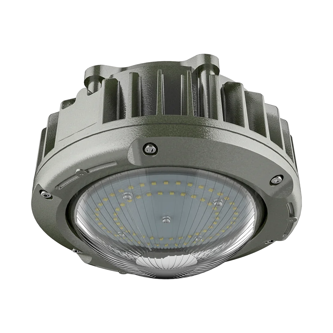 2026 waterproof dustproof corrosionproof lamp pendant wall mount led 30W emergency LED ceiling light