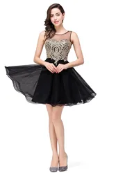 Homecoming Dresses Appliques A-line V Neck Graduation Dress Short Sleeveless Cocktail Dresses Zipper Up Vestidos De Festa