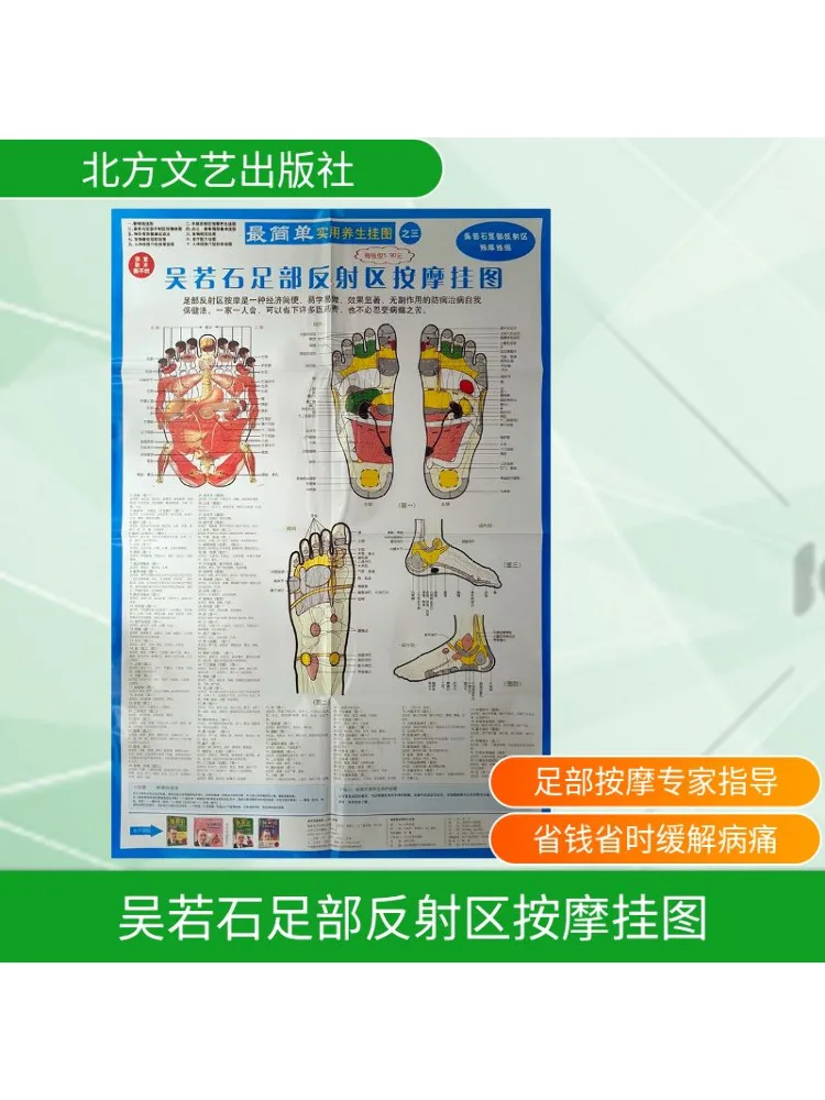 

Book-Winshare Wu Ruoshi Foot Reflective Area Massage Wall Chart