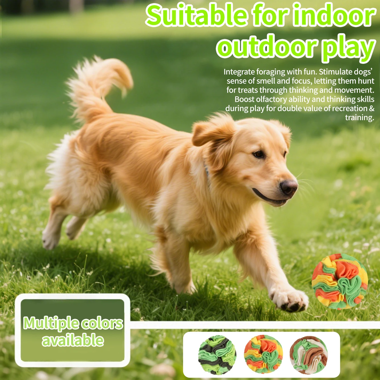 Thumbnail 2 - #7 Dog Balls Comparison Guide