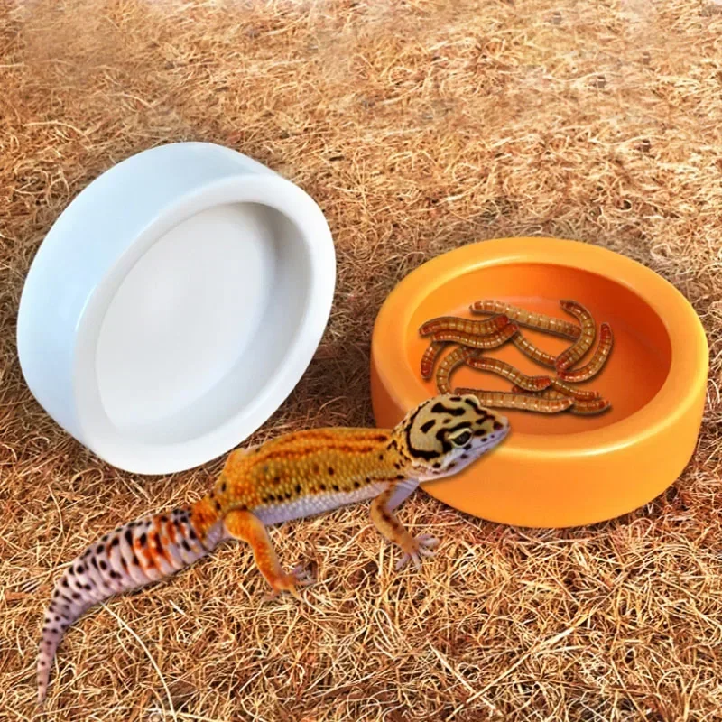 #33 Best Reptile Water Bowls to Buy In 2026