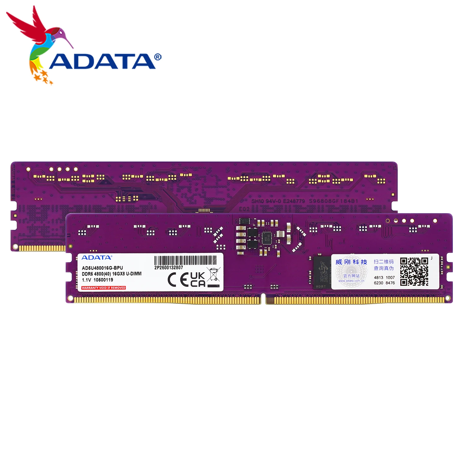 ADATA DDR5 288-pin DIMM DRAM وحدة 16GB 32GB 4800MHz CL40 5600MHz CL46 RAM عصا لوحدة ذاكرة ECC لسطح المكتب/الكمبيوتر