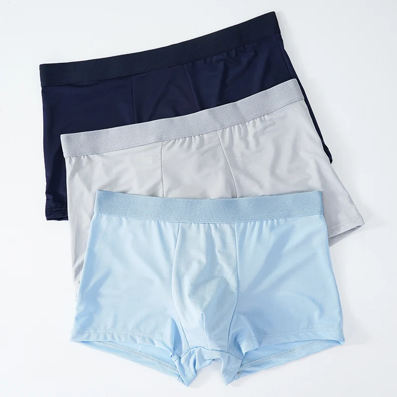 

3Pcs/Lot Men Underpants Boxer Underwear Transparentes Hombre Panties Shorts Lingerie Summer Ice Silk Boxers Briefs