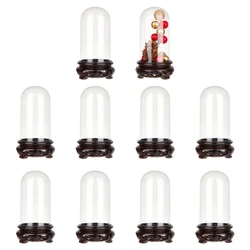 6 Sets Plastic Display Dome Cloche Decorative Display Case with Acrylic Base Clear Cloche Bell Jar Terrarium for Wedding Rose