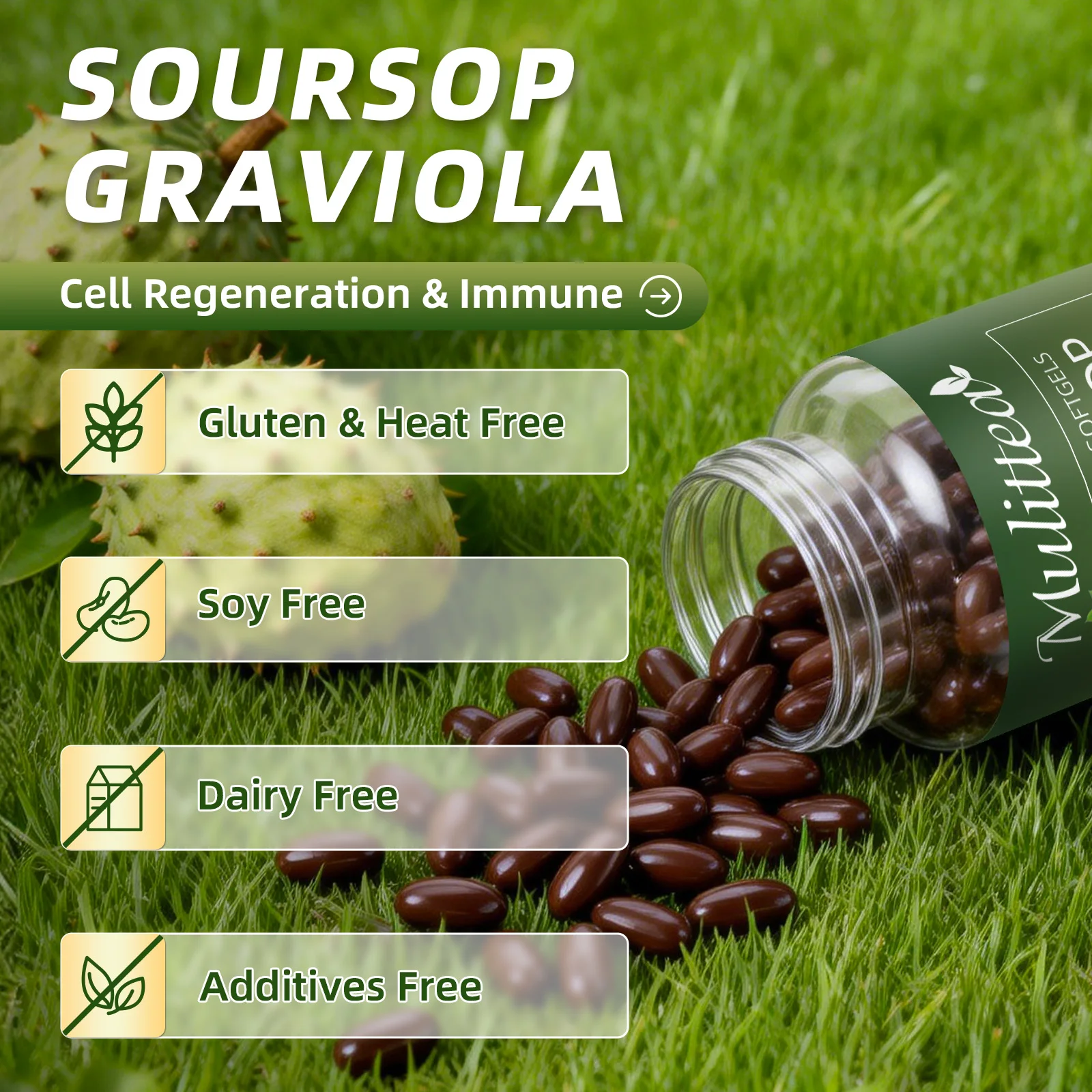 Mulittea Graviola Soursop Extr - đánh giá và giá Tulsi Holy Basil
