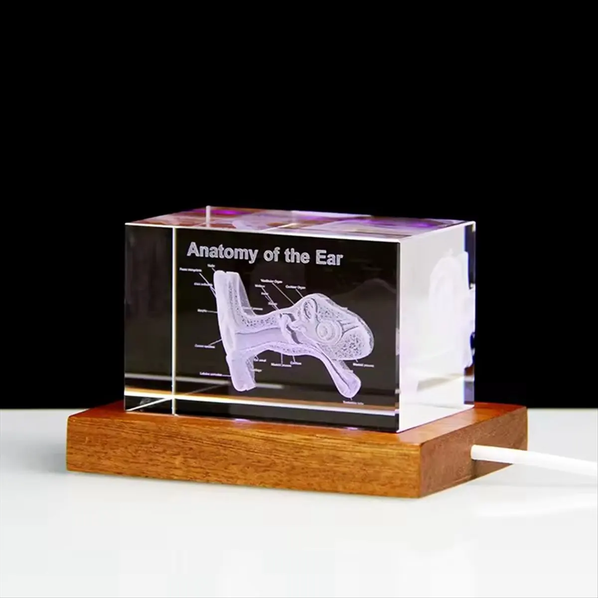 A50U 3D Ear Organ Model Crystal Cube Otology Science Gifts Crystal Glass Figurine Paperweight Human Organ Statue A