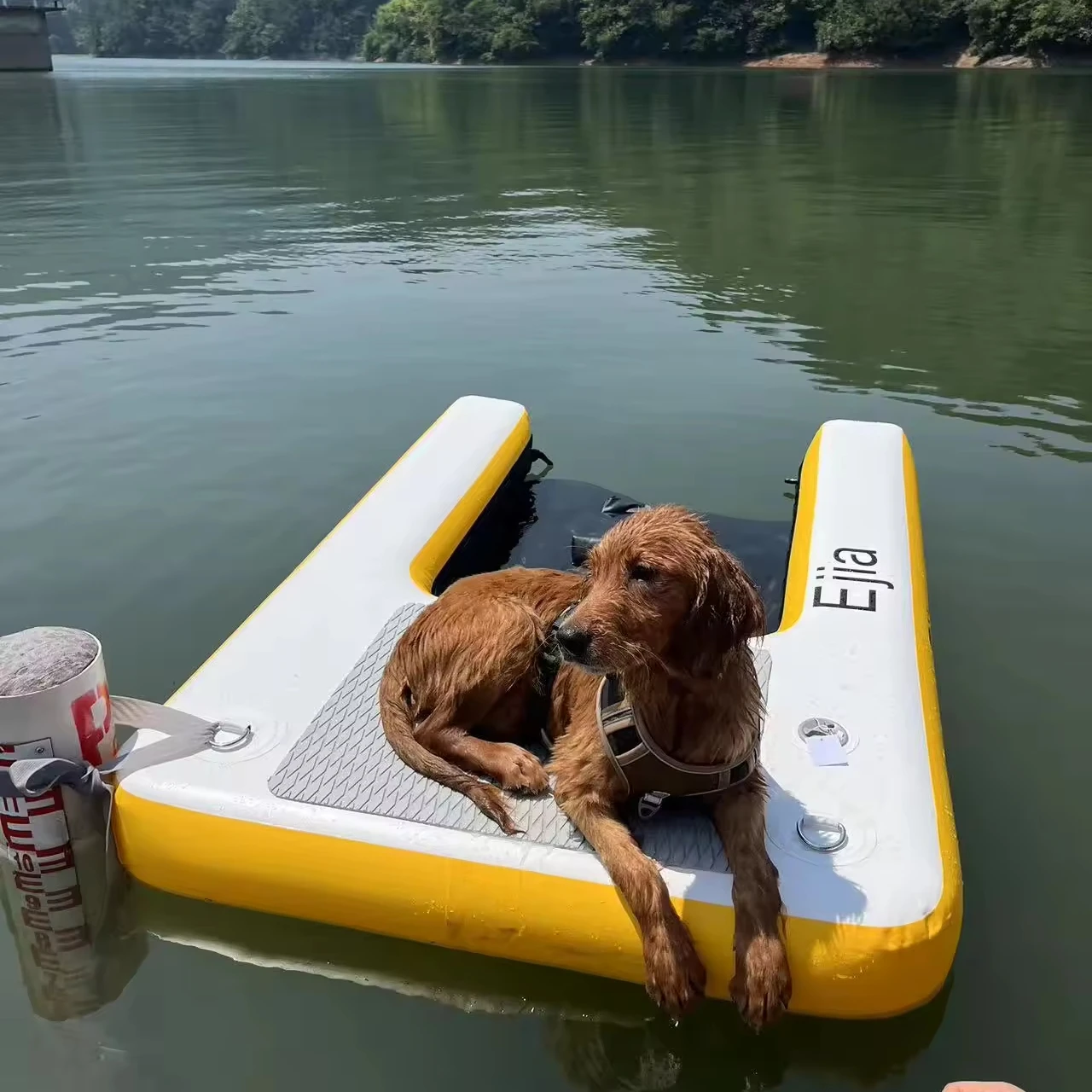 Rampa de agua inflable para perros, plataforma de rampa de escalada, escalera de barco para perros de PVC, punto de gota de alta calidad