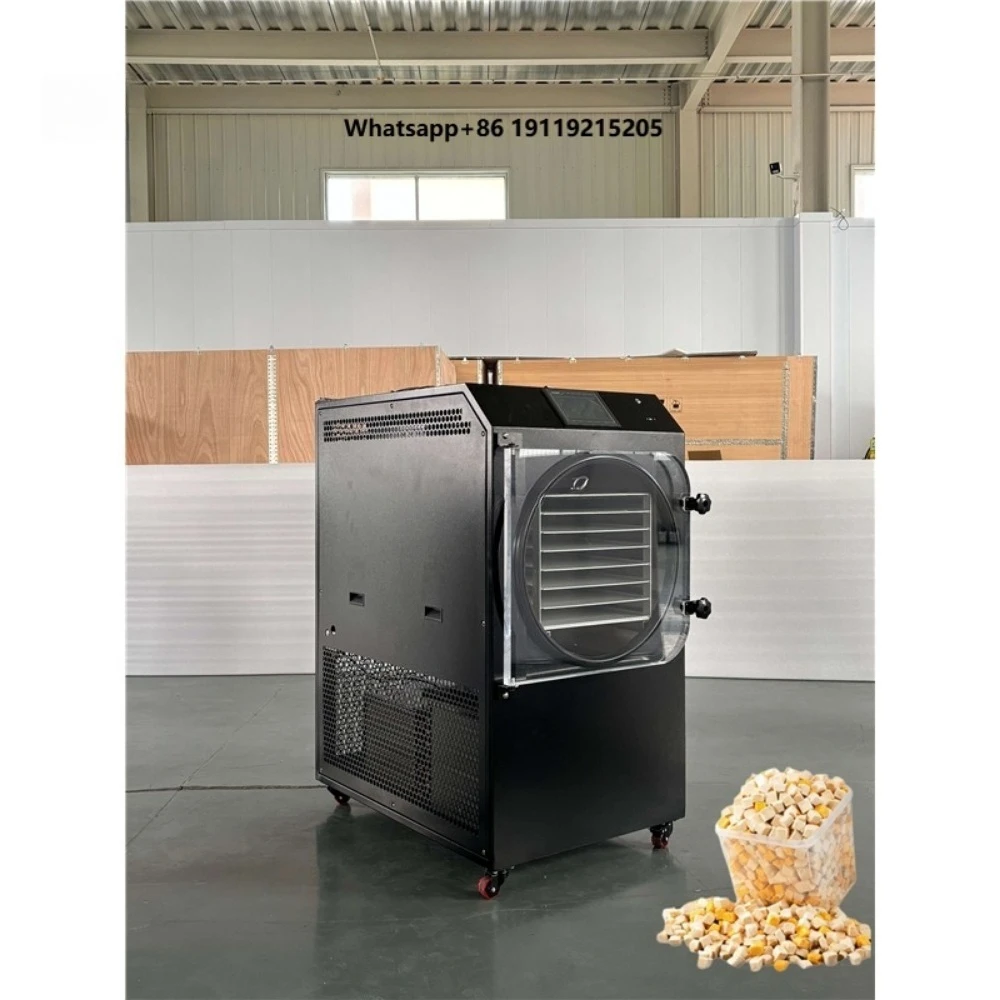 Industrial Vacuum Freeze Drying Equipment 25Kg Lyophilizer Fruit Vegetables Food Freeze Dryer With Home Freeze