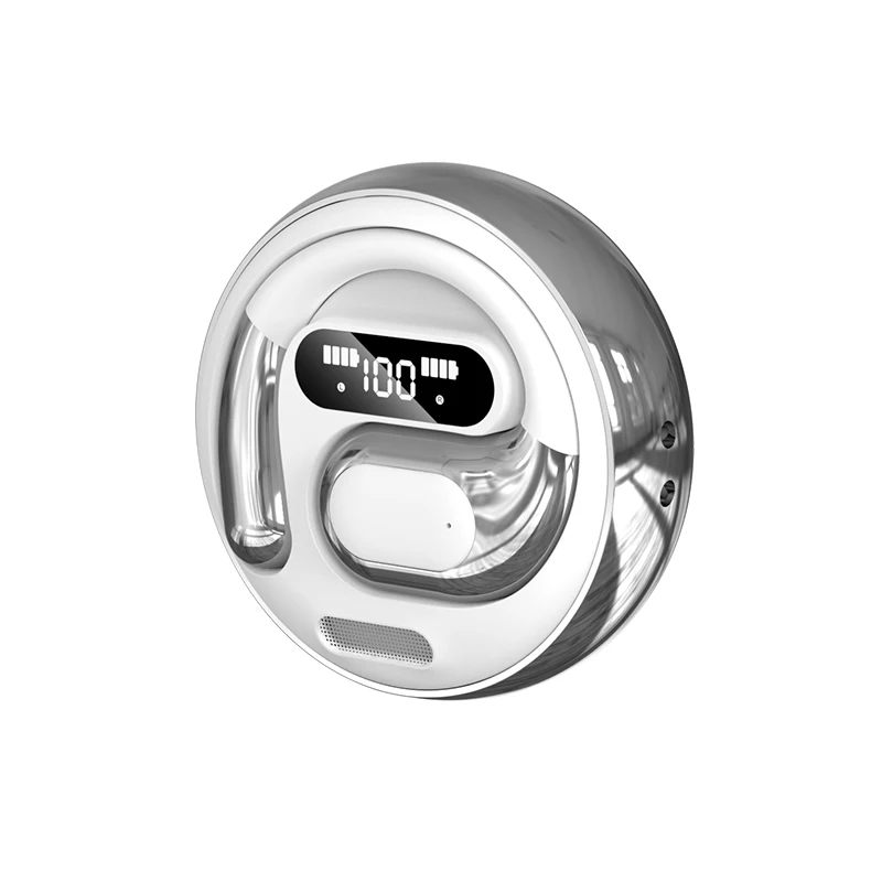 Wireless Bluetooth Earphones with AI Translation