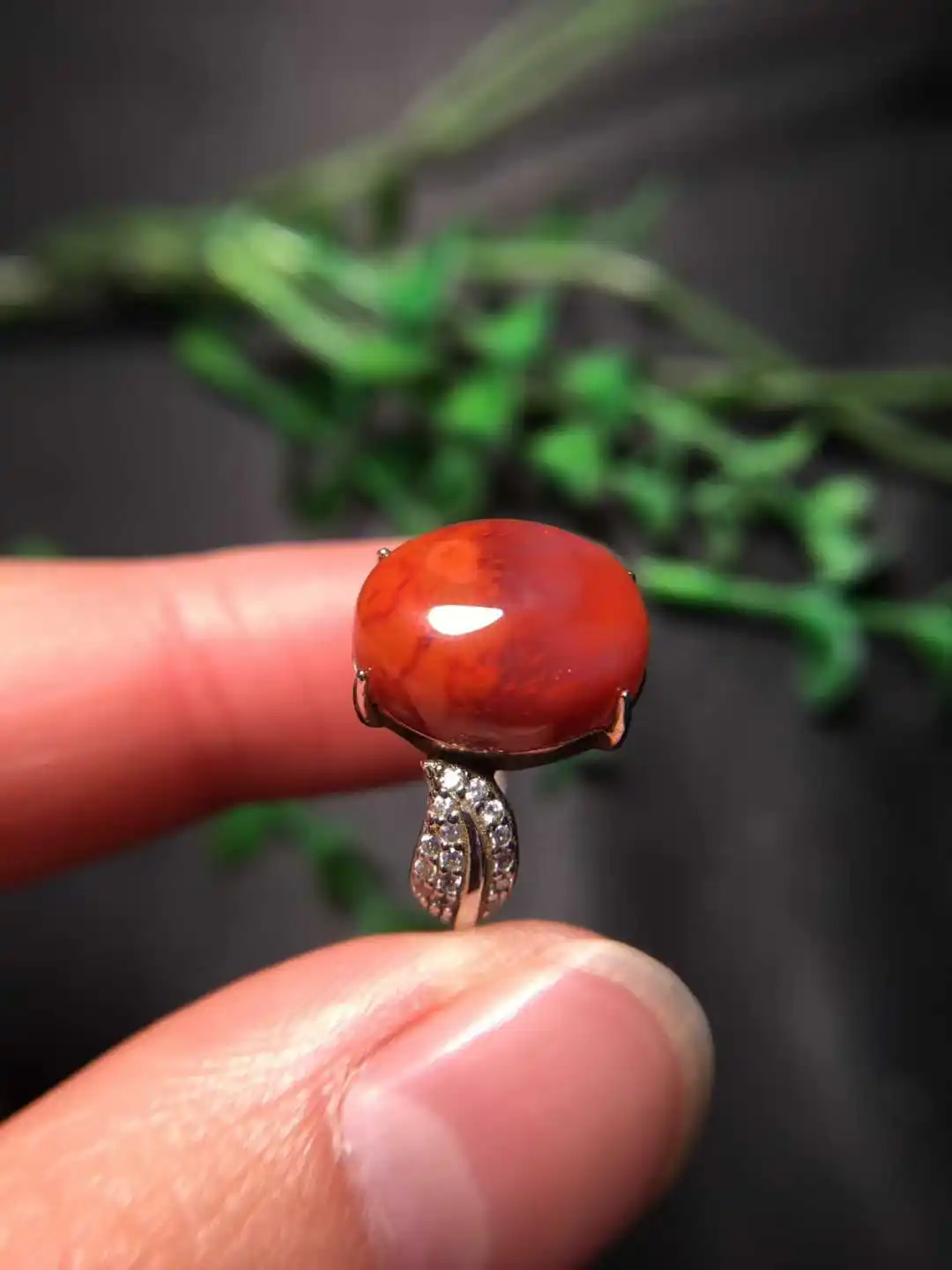 South Red Flame Red…