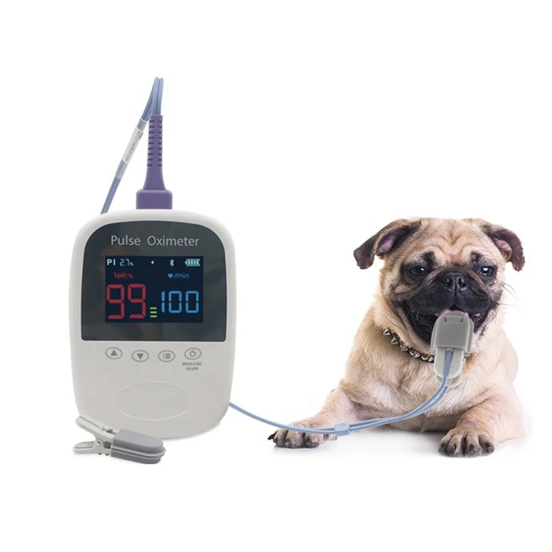 Animal Oximeter Blood Oxygen Digital Handheld Veterinary Rechargeable Pulse Oximeter for Dogs