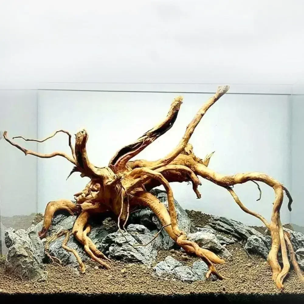 Naturalne drzewo Driftwood Gałęzie Naturalny kształt Losowe drewniane gałęzie gadów DIY Duży rozmiar Nieregularny żółw Tank Drzewo Korzeń