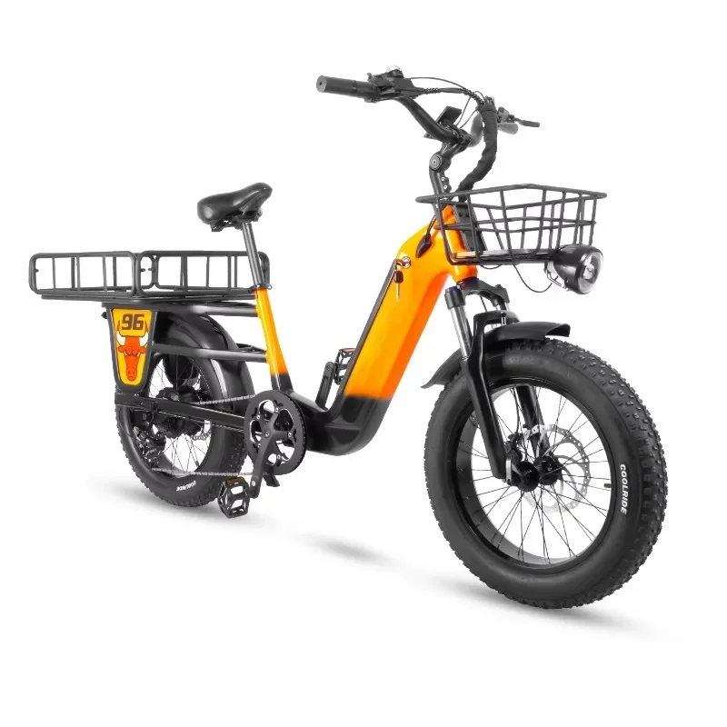 Electronic Bike Cargo Bike Electric Family E Bike