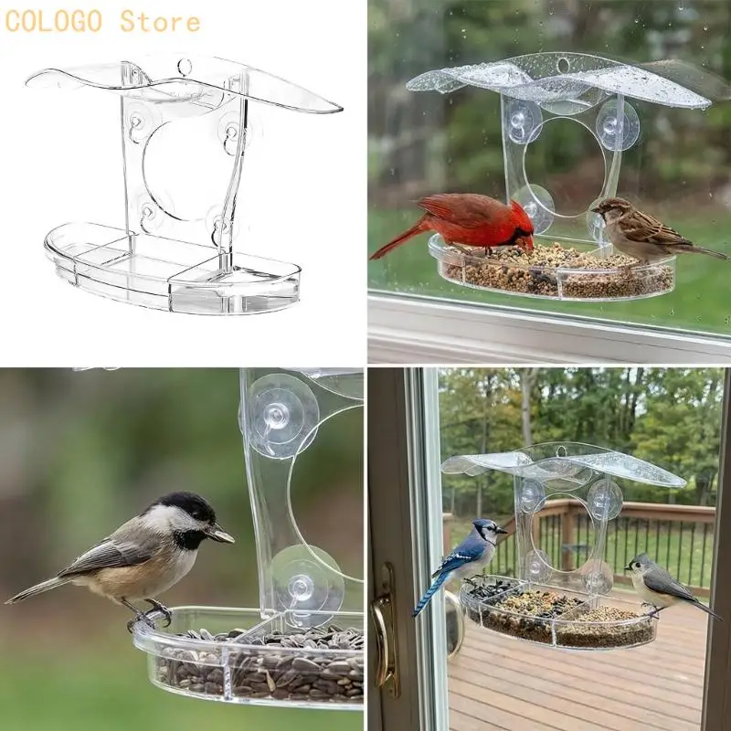 Innovative Viewable Bird Eating Tool produced For Easy Cleaning And Handling D0LD