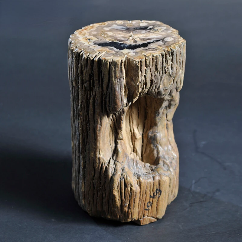 Landscaping courtyard wood fossil small stone pier micro landscape new Chinese desktop ornaments