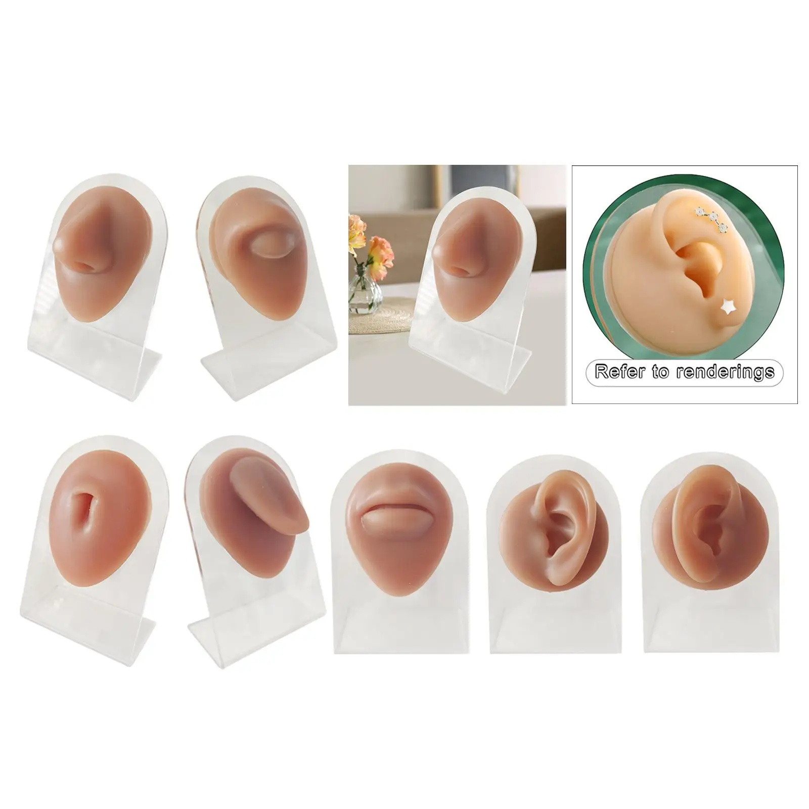 Human Body Part Models Silicone Modeling Texture for Home Office with Stand