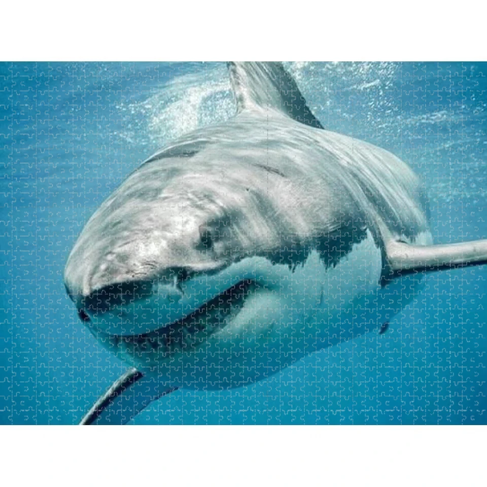 500/1000/1200/2000 Pcs Jigsaw Puzzle Great White Shark Challenging Brain Teaser Family Game Home Decor Birthday Gift Toy
