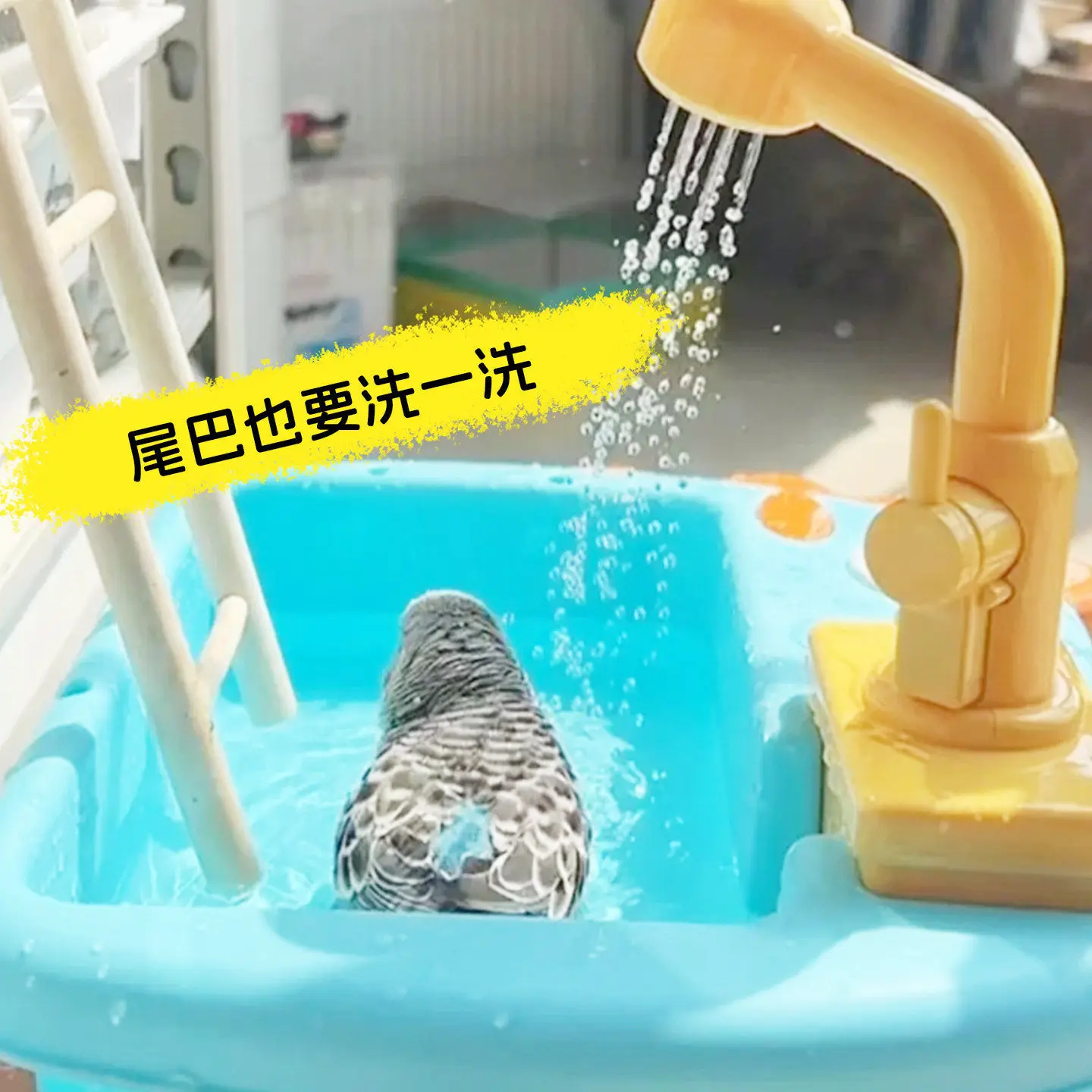 Multifunctional Shower Basin For Parrots Budgerigars Lovebirds Cockatiels; Bath Toy And Pet Supplies - view 4