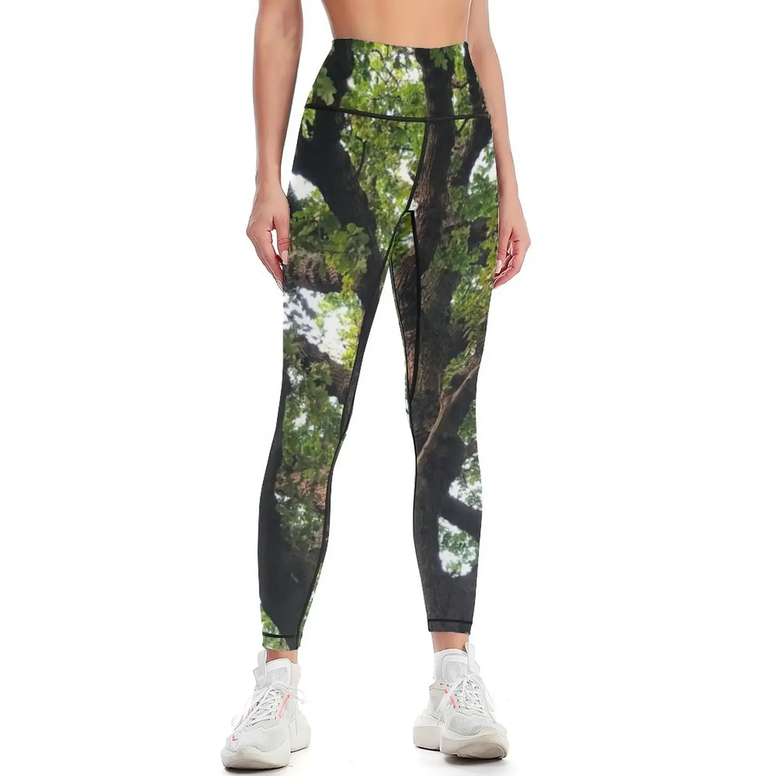 

Oak Tree Photography Leggings sport legging sports for push up gym's clothing trousers Womens Leggings
