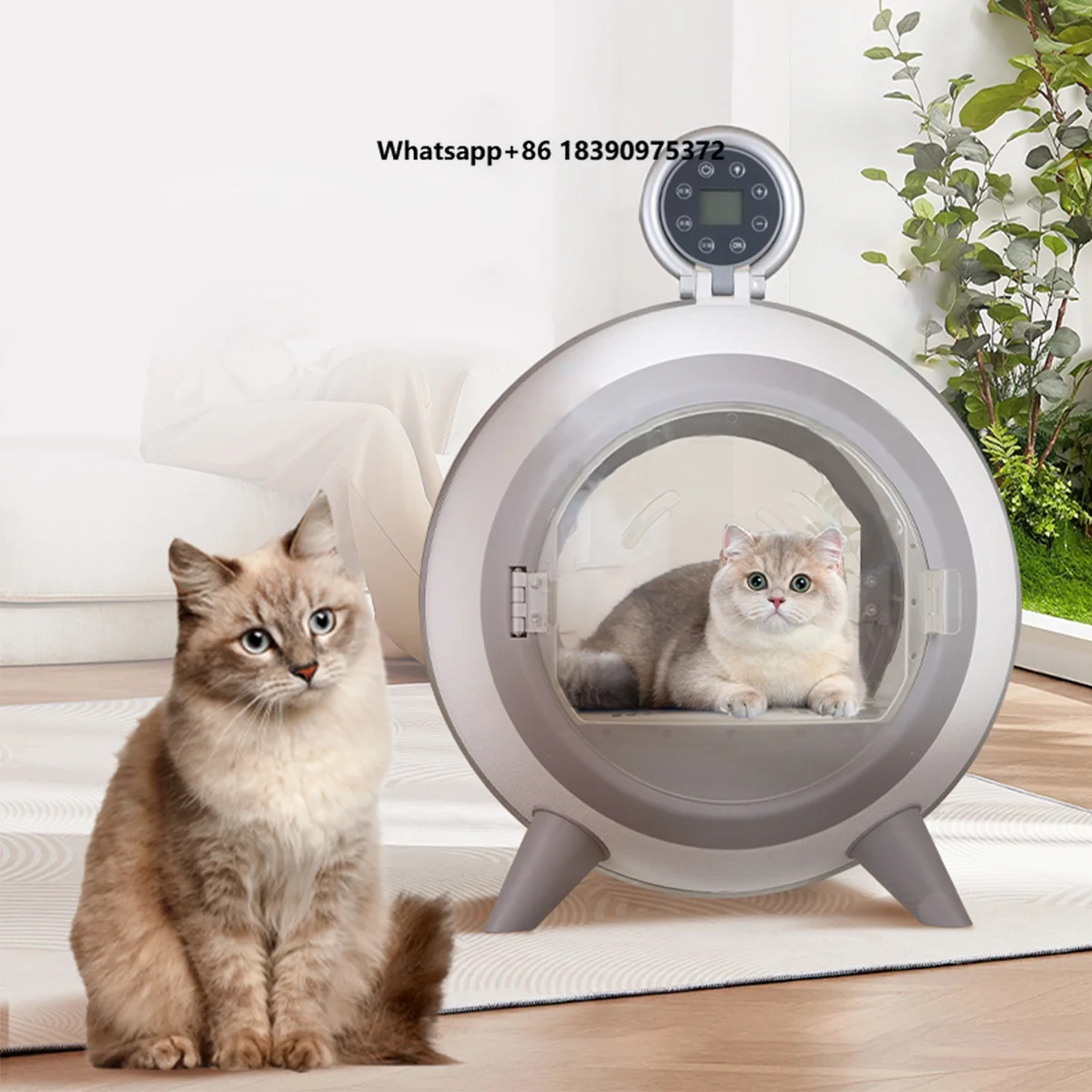 Fully Automatic Home Pet Drying Box for Cats Dogs Sustainable Hair Dryer with Disinfection Feature for Shower Drying Machine