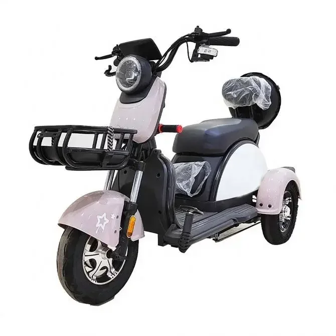 

Cheap Outdoor 300Kg Car Electric Tricycle 2 People For Adult Use