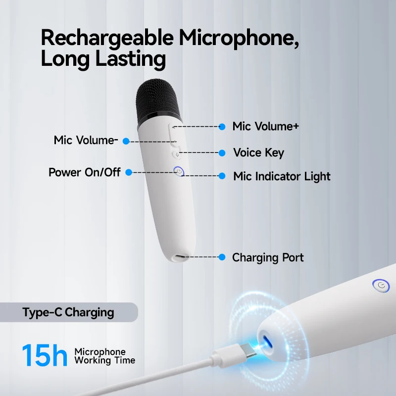 Imagem -05 - Microfone Byd Atto 3dolphinsealtangsongqinhandilink Microfone sem Fio Byd Karaokê