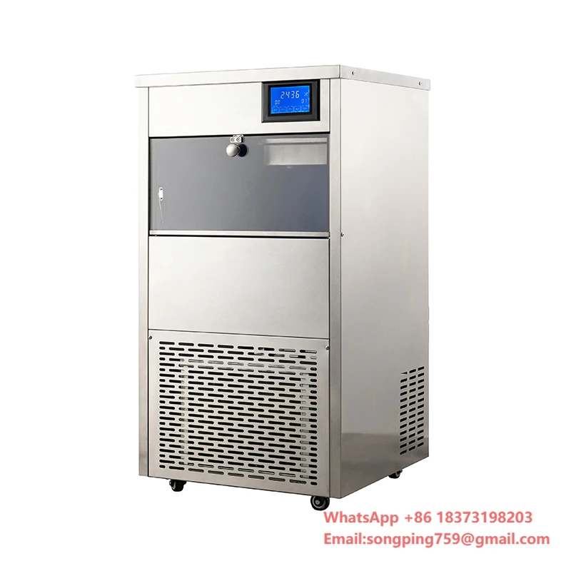 Machine à glaçons industrielle en forme de flocon de neige, 100kg/24h, faible consommation d'énergie, grande capacité, commerciale