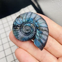1PC Natural Labradorite Ammonite Carving Gorgeous Mystery Transform Flashy Reiki Crystal Meditation Healing Stone Home Decor
