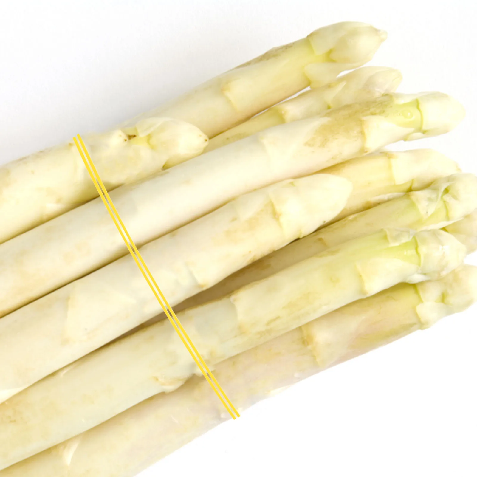 

800Pcs Wide Heavy Duty Rubber Bands Elastic Resilient Strong Stretching Binding Bands for Home Office Outdoor Use