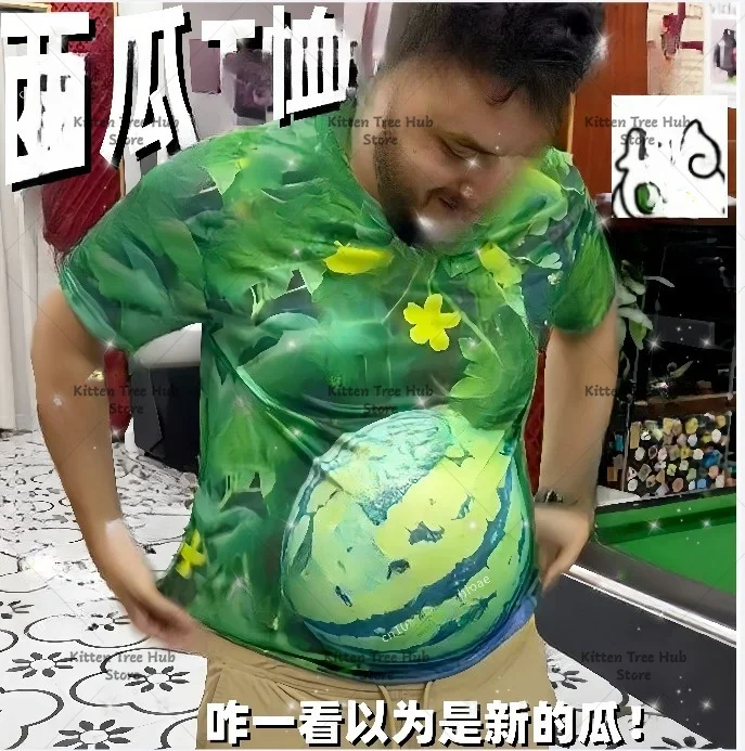 [this melon is ripe] big watermelon short-sleeved 3d stereo visual effect big belly breathable and cool printed men's t-shirt