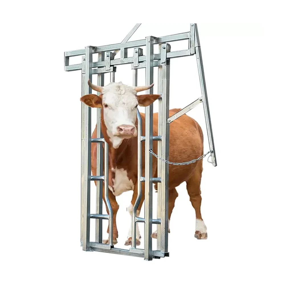 

New Hot Dip Galvanizing Adjustable Width Cow Horse Hoof Trimming Frame Traction Artificial Insemination Room Cattle Restraining