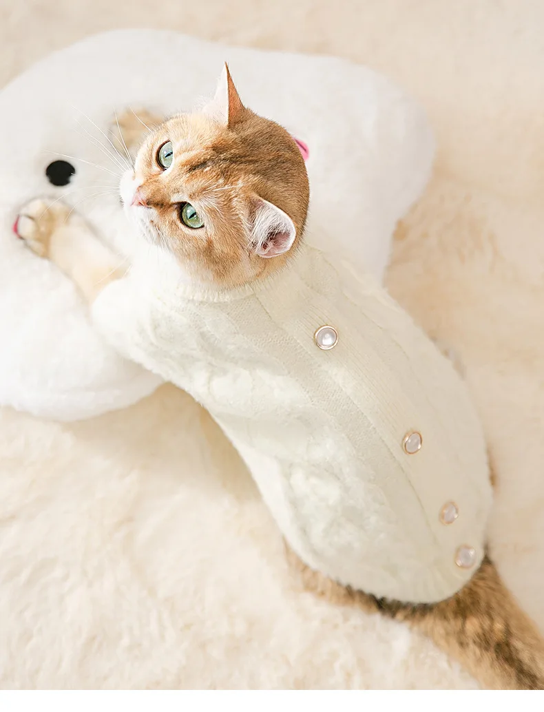 New Pet Clothes Fleece Knitted Cardigan Cat Warm Jacket Two Legged Dog Twist Wool Clothes Designer Dog Clothes Dog Sweater