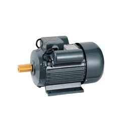 Electric Motor IP54/55 220 Volt Ac Electric Motor