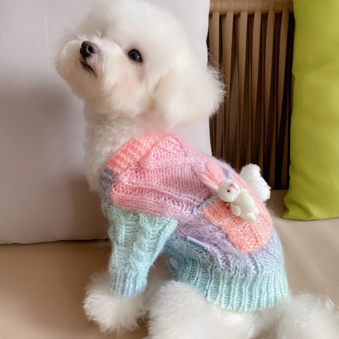 Small Dog Clothes, Pet Clothes, Autumn and Winter Coat, New, 2023