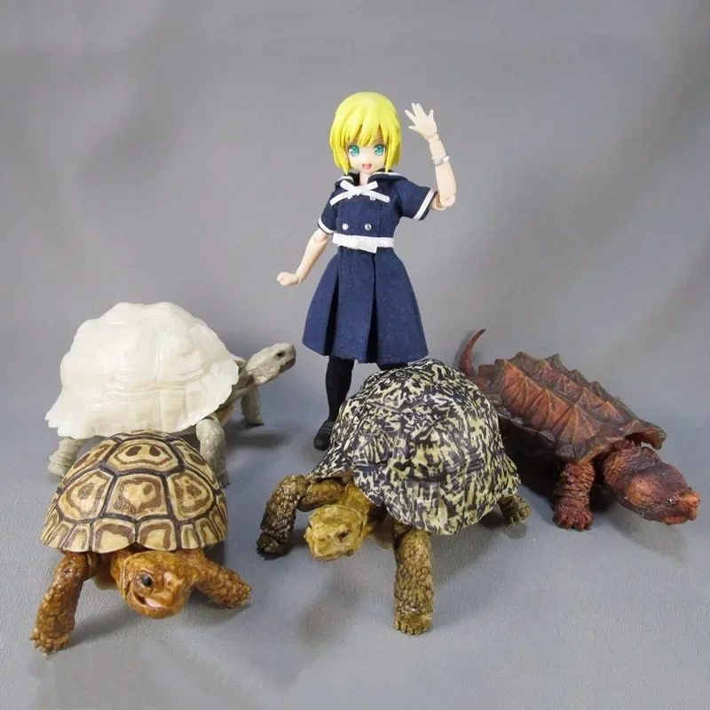 BANDAI Japan Gashapon Figure Anime Cute Tortoise Model Ornaments Kawaii Capsule Toys Figurine For Boys Girls Gift